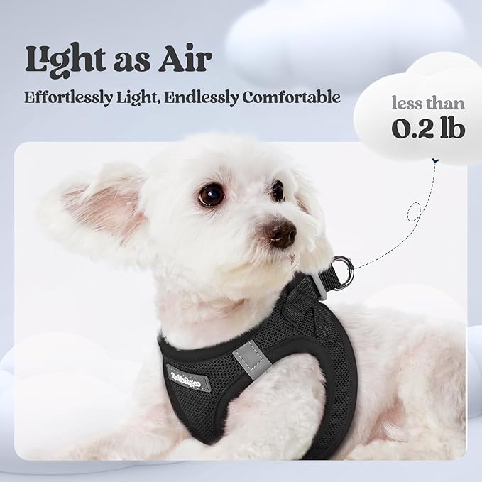 rabbitgoo Dog Harness Small Medium Sized and Leash Set, Step in Soft Light Puppy Vest, Breathable Mesh Pet Harness, Reflective for Safe Easy Walking, Black L