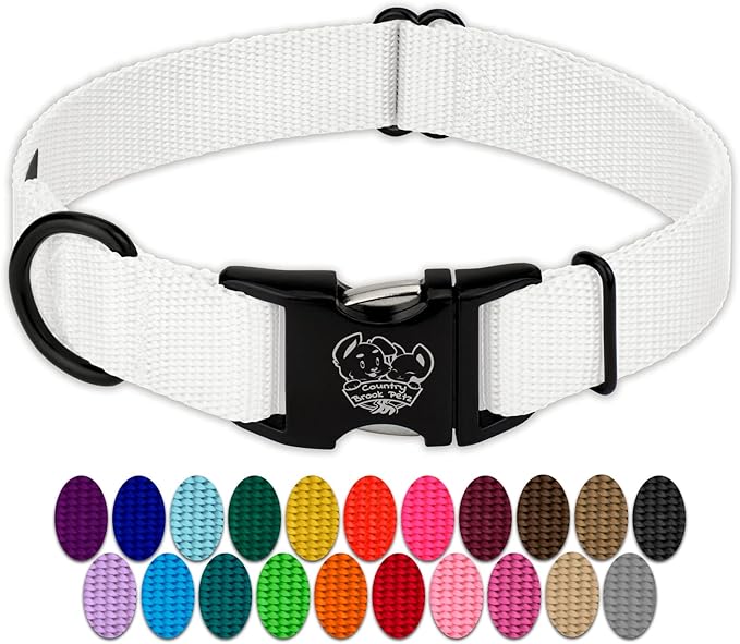 Country Brook Petz - Premium Nylon Dog Collar with Metal Buckle for Small Medium Large Breeds - 10+ Cool Colors (Large, 1 Inch, White)