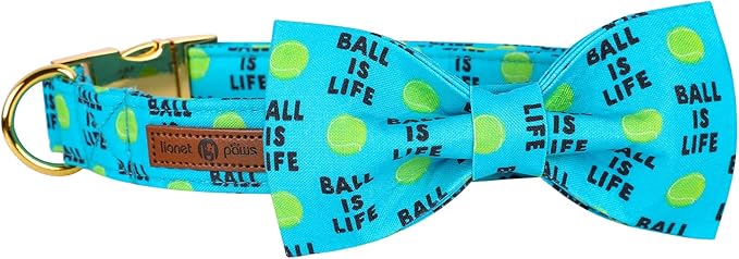 Lionet Paws Dog Collar with Bowtie - Cute Cotton Bowtie Dog Collar with Metal Buckle for Medium Dog Girl Boy, M, Neck 13.5-22in