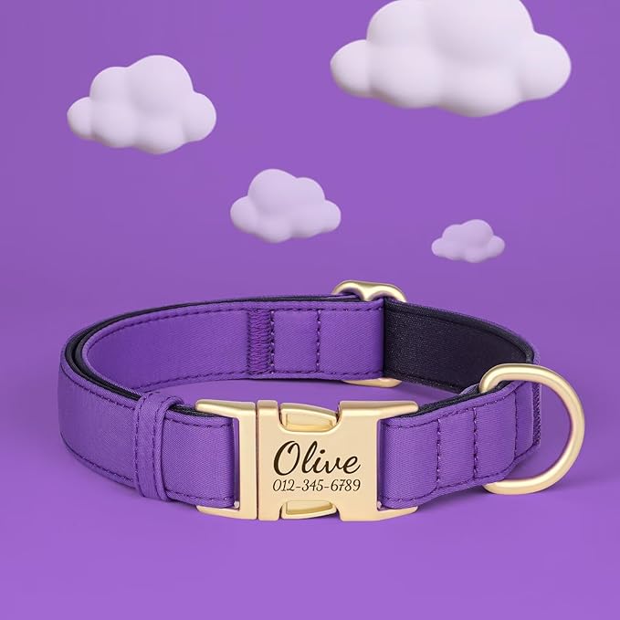 PET ARTIST Personalized Dog Collars, Colorful Purple Custom Dog Collar with Silent Engraved ID Tag, Lightweight Breathable Nylon & Soft Padded, Matching Leash & Poop Bag for Medium Dogs,M Fit 13-20"