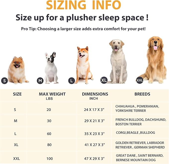 Dog Crate Pad for Small Dogs - 24x18 Memory Foam Dog Bed, Washable & Anti-Slip Dog Bed Mat, Ultra Soft Kennel Pad for Dogs Cozy Sleeping Mat, Khaki