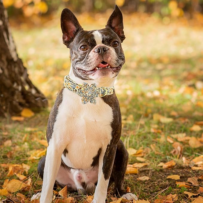 Elegant Little Tail Fall Squirrel Print Dog Collar with Soft Durable Flower Pet Collar for Small Dogs