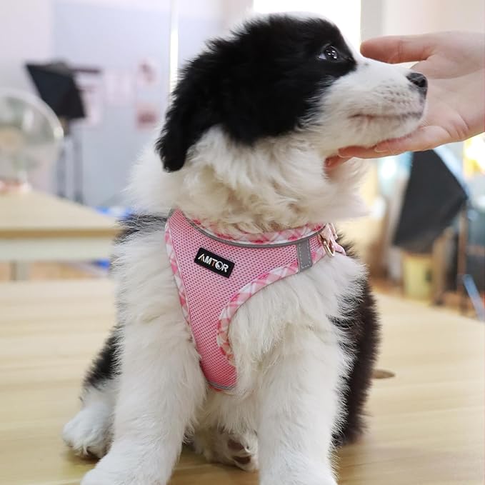 AMTOR Small Dog Harness with Leash Set, No Escape Easy Walk Puppy Harnesses for Training Walking, Step-in Reflective Soft Dogs Vest for XS S Medium Extra-Small Large Sized Dog(L Size,Pink/White)