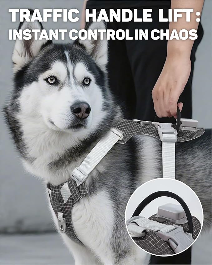 TagME No Pull Dog Harness with 2 Leash Clips,Lightweight & Visible for All-Day Walking, No Choke Pet Vest Includes AirTag Holder for Large Dogs,Black