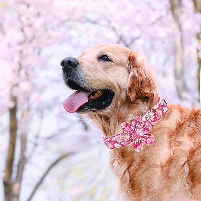 Elegant Little Tail Girl Dog Collar with Flowers - Pink Floral Pattern, Adjustable for Small Dogs