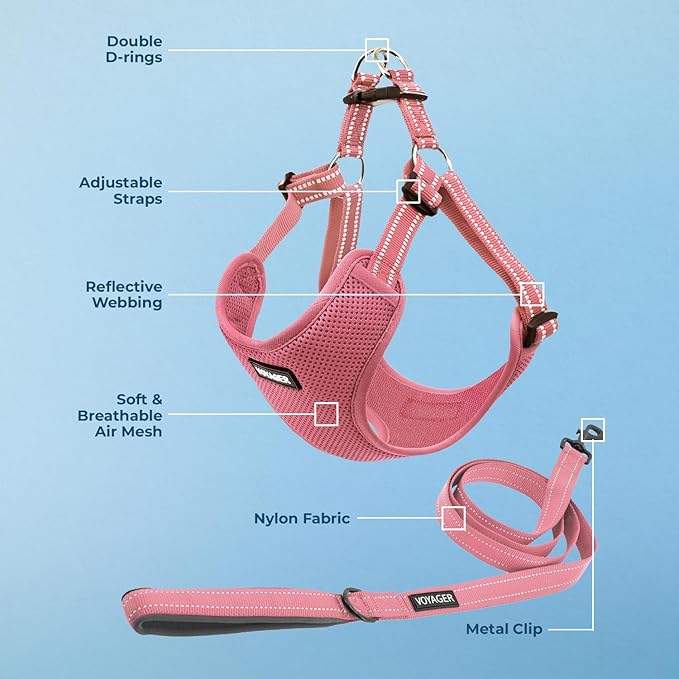 Best Pet Supplies Voyager Adjustable Step-in Flex Breathable Mesh Dog Harness for Small Medium Large Dogs Leash Set (Pink), M