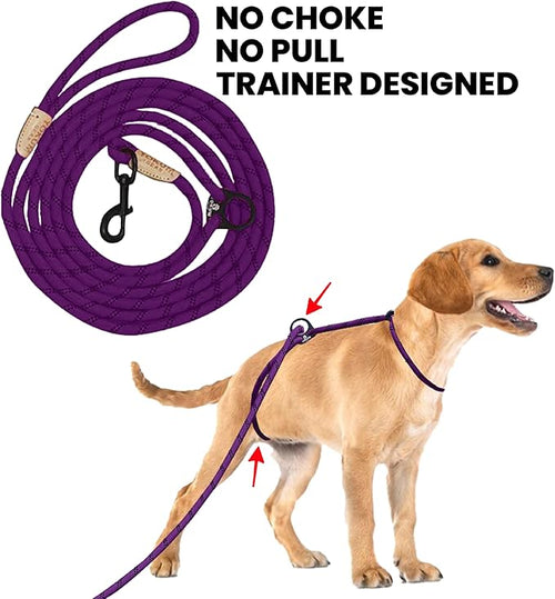 12ft No Pull No Choke Leash Long Rope Dog Leash, Anti Pulling Dog Leash, Dog Harness and Leash, Dog Leads for Walking, Double Hook & Escape Proof for All Breeds, Reflective Purple