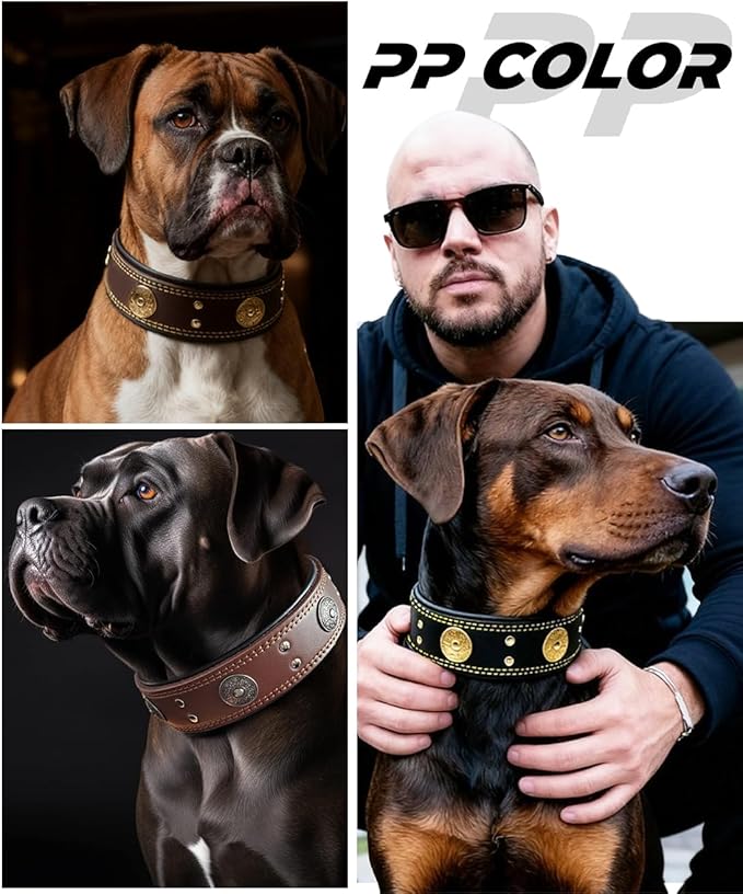 Leather Dog Collar, 2 inches Wide Heavy Duty Genuine Leather Collars, Handmade, Soft, and Luxury, Eye-catching Best Choice for Large and Medium Breed Dogs 21-25 inches