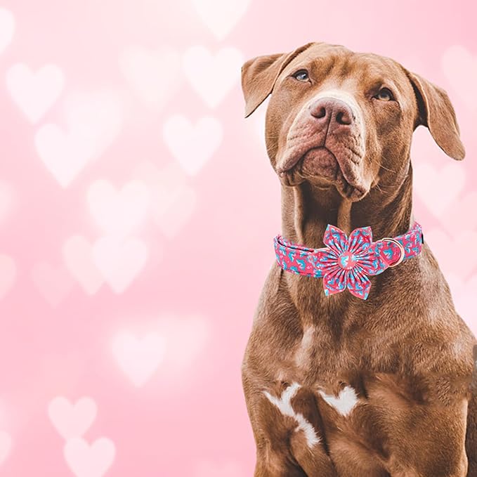 Elegant little tail Valentine's Dog Collar, Heart Dog Collar with Flower Cute Girl or Boy Pet Collars with Flower Puppy Gift Adjustable Pet Collars for Medium Dogs