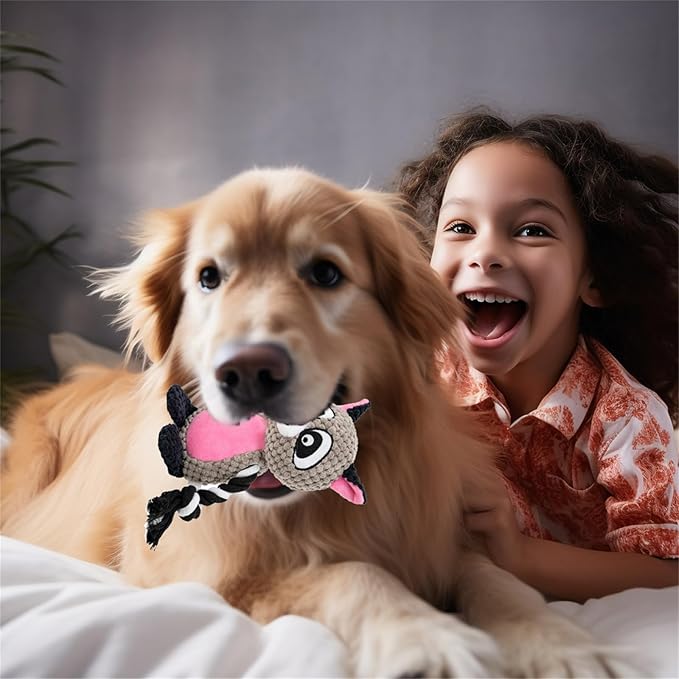 Plush Dog Chew Toys,Squeaky Dog Toys for Aggressive Chewers, Stuffed Animals Dog Toys for Small Medium Large Dogs to Keep Them Busy Puppy Teething Toys（Raccoon）