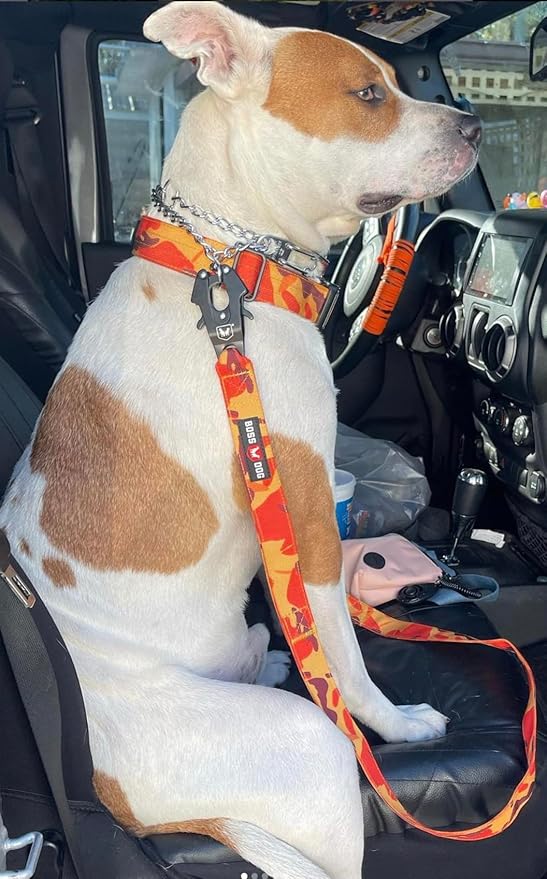 Boss Dog Tactical Leash, Orange Camo, 6 FT