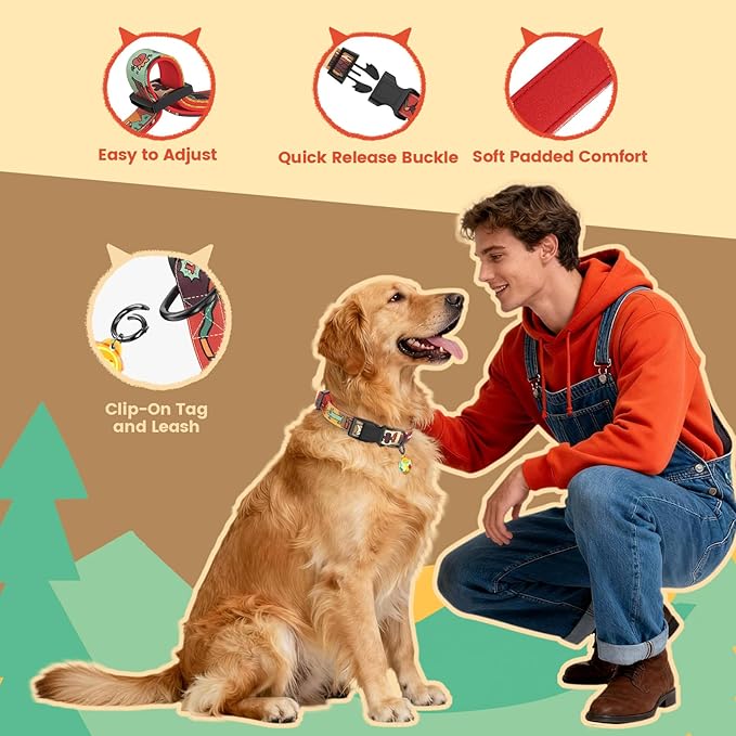 Dog Collar and Leash Set, QR Tag Adjustable Pet Collar, 5 FT Heavy Duty Dog Leash, Padded Handle, Quick Release Buckle, Metal Ring, 360° Swivel Clip for Small Dogs Walking Running (Red, S)