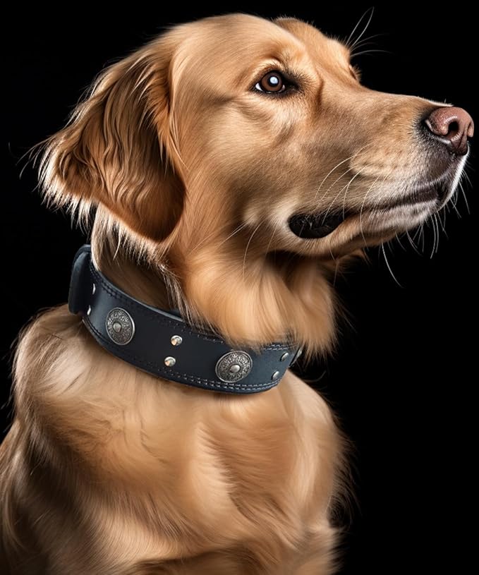 Leather Dog Collar, 2 inches Wide Heavy Duty Genuine Leather Collars, Handmade, Soft, and Luxury, Eye-catching Best Choice for Large and Medium Breed Dogs, Black 18.5-22.5 inches