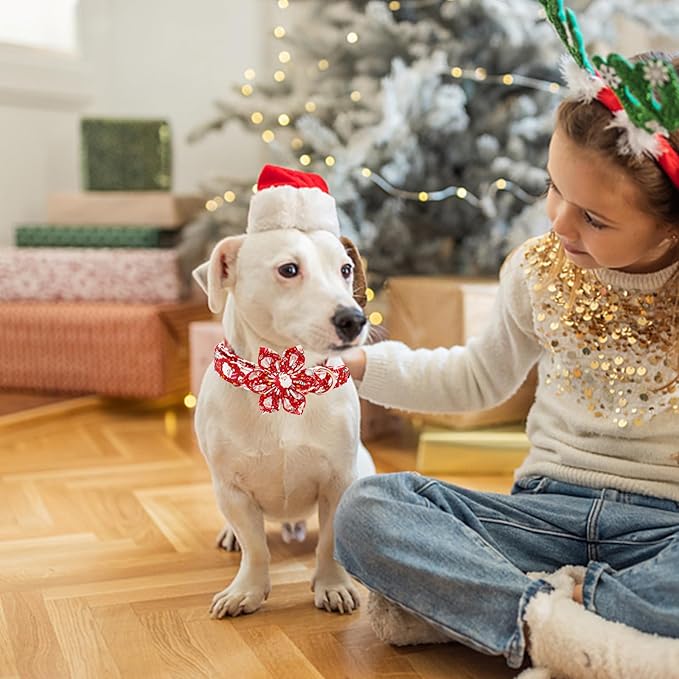 Elegant Little Tail Christmas Dog Collar with Santa Claus, Flowers for Medium Dogs