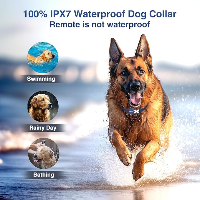 Dog Shock Collar 2 Dogs (20-140 Lbs) - 4200FT Dog Training Collar with Remote, 4 Powerful Modes with 119 Training Levels Rechargeable Electric Dog Collar for Large Dogs