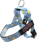 BULLHUG Adjustable Dog Harness– No Pull, No Choke – for English Bulldogs, French Bulldogs, Pugs & Broad-Chested Breeds – Easy, Safe Walks (Bumble BEE, Small)