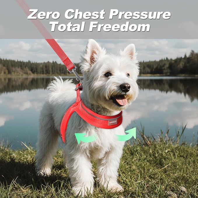 Dog Harness and Leash Set,Step in Small Sized Dog Harness,Soft Mesh,No-Chock,Reflective Adjustable,Secure with Hook & Loop Fastener,Puppy Vest for Small,Medium Dogs(Red,L)