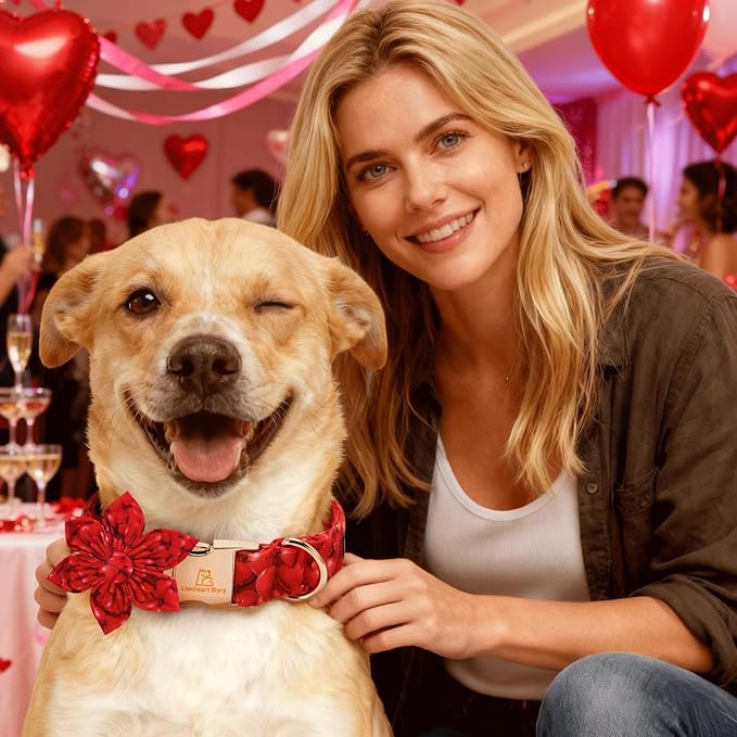 Lionheart glory Dog Collar with Flower - Valentine's Day Dog Collar for Small Dogs Red Hearts Print Collars Soft Adjustable with Flower Male Female Dogs Spring Cute Collars