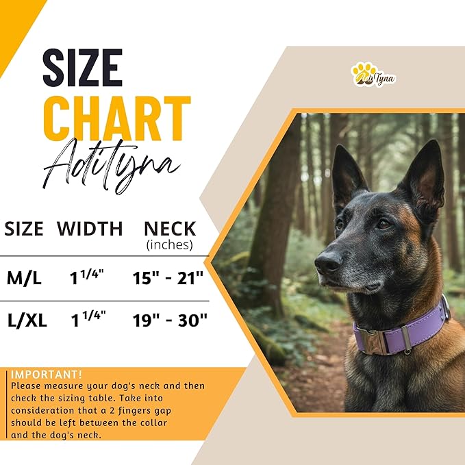 ADITYNA Leather Dog Collar with Metal Buckle - Heavy-Duty, Adjustable for Medium & Large Dogs - Walking, Training, Hiking (Purple, Fits 15-21" Necks)
