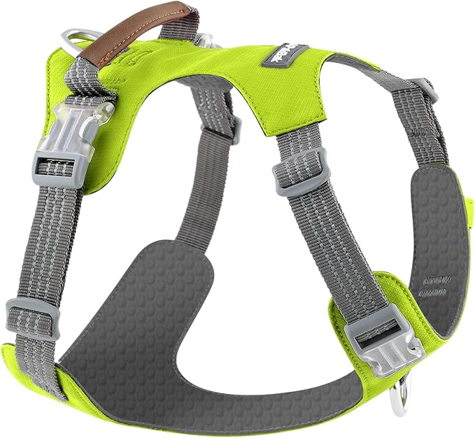 No Pull Dog Harness – Adjustable Reflective Nylon Vest for Small Medium Large Dogs, Escape Proof Training Harness with Leather Control Handle, Lightweight Aluminum Hardware (Green, XL)
