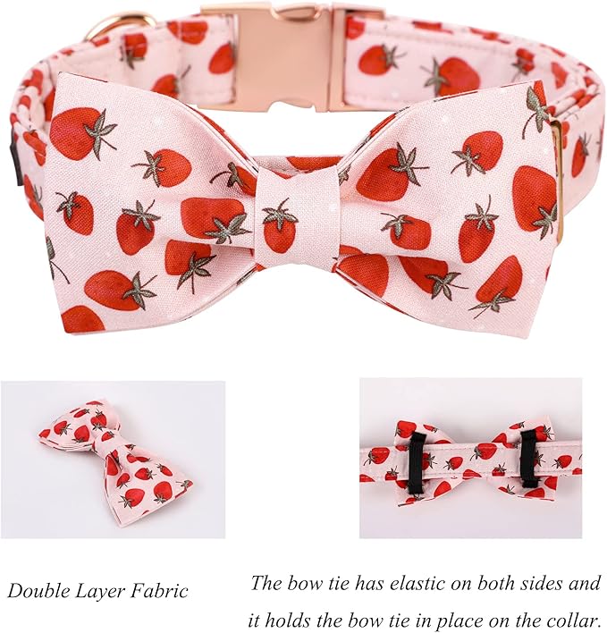 Lionet Paws Dog Collar with Bowtie - Summer Cute Cotton Adjustable Bowtie Dog Cat Collar with Metal Buckle for Puppy Girl Boy, XS, Neck 8-12in