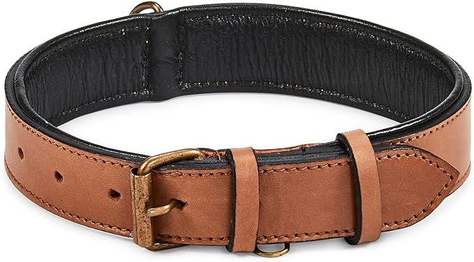 Real Leather Dog Collar Padded Soft Interiors with Premium Vintage Look Handcrafted Heavy Duty with Tag Ring for Small Medium and Large Pets (Large (1.5" Wide for 16.5" - 20.5" Neck), Cognac)