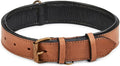 Real Leather Dog Collar Padded Soft Interiors with Premium Vintage Look Handcrafted Heavy Duty with Tag Ring for Small Medium and Large Pets (Large (1.5" Wide for 16.5" - 20.5" Neck), Cognac)