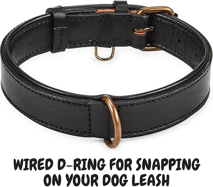 Real Leather Dog Collar Padded Soft Interiors with Premium Vintage Look Handcrafted Heavy Duty with Tag Ring for Small Medium and Large Pets (Medium (1.25" Wide for 13.5" - 17.5" Neck), Black)