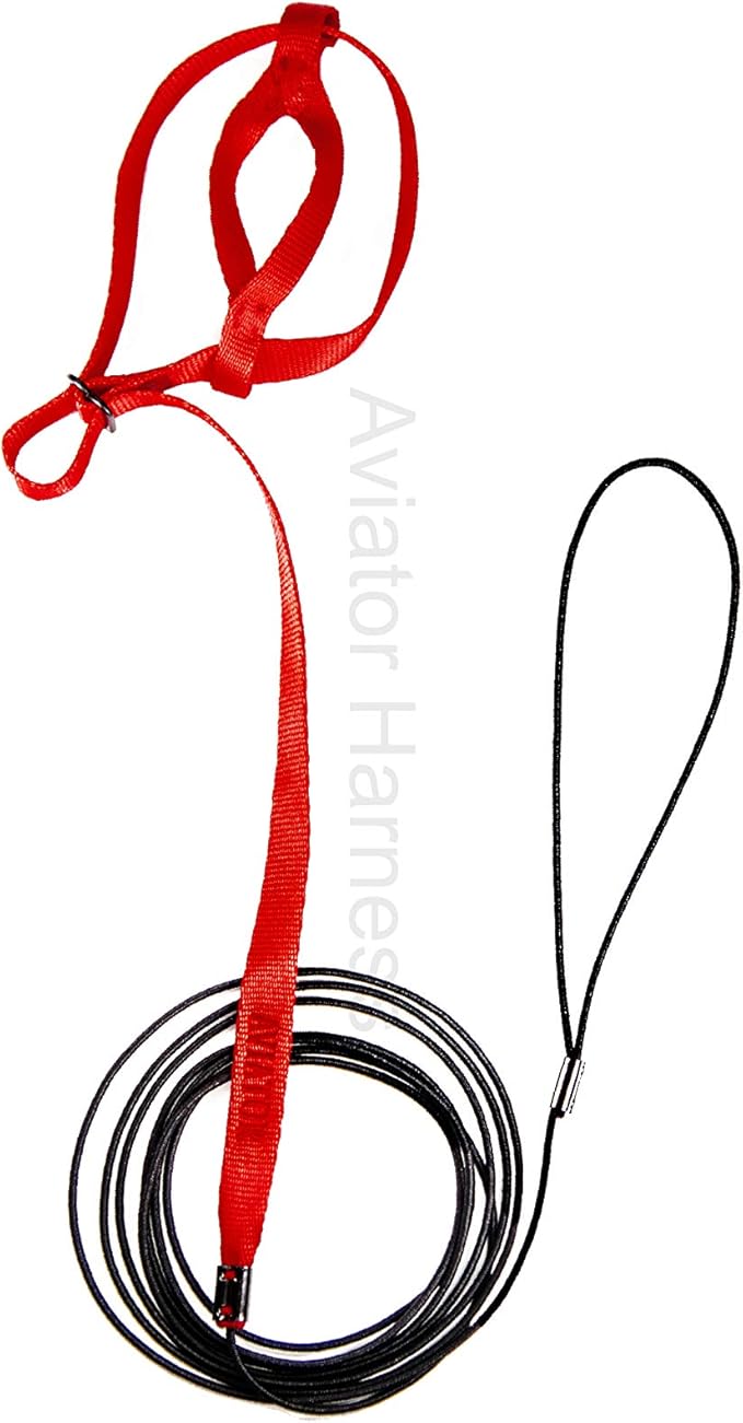 The AVIATOR Pet Bird Harness and Leash: Mini Red