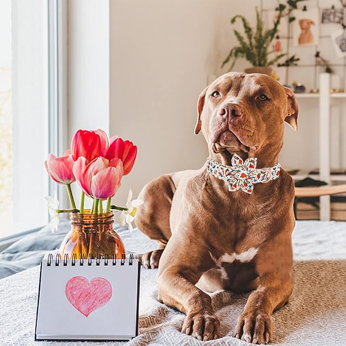 Elegant little tail Valentine's Dog Collar, Heart Dog Collar with Flower Cute Girl or Boy Pet Collars with Flower Puppy Gift Adjustable Pet Collars for X-Large Dogs