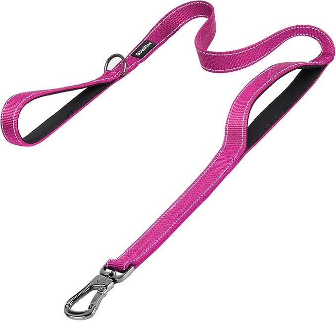 PetiFine 6FT Heavy Duty Dog Leash with Soft Padded Double Handle, Durable Strong Clasp Dog Leashes, Reflective Nylon Walking Lead for Large,Medium,Small Breed Dogs, Rose
