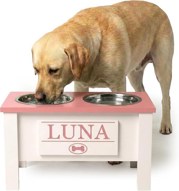 GTW Personalized Elevated Dog Bowl Stand for Large, Medium, Small, X-Small Dogs - Stainless Steel Food and Water Bowls - Raised Dog Dish with Internal Storage (Large, Magenta)