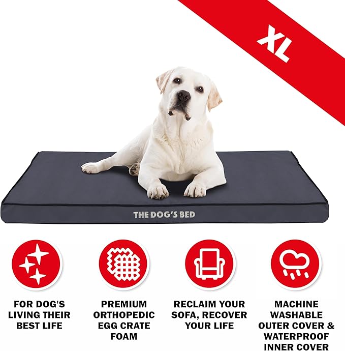 The Dog’s Bed Orthopedic Standard Foam Dog Bed Mattress, Oxford Fabric, Grey with Black Trim, XL