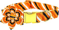 Elegant Little Tail Halloween Dog Collar - Orange Stripe Pet Collar With Flower for Small Dogs - Soft Durable Holiday Accessory