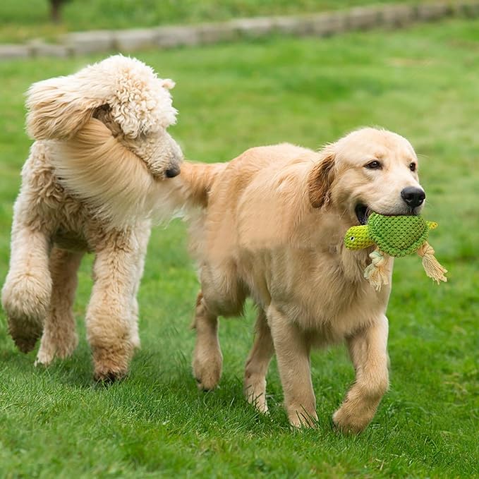 Cute Marine Animal Dog Squeaker Chew Toys, Interactive Stuffed Cotton Plush Rope Knot Toys with Crinkle Paper- for Puppy, Small, Middle Dogs(Green Turtle)