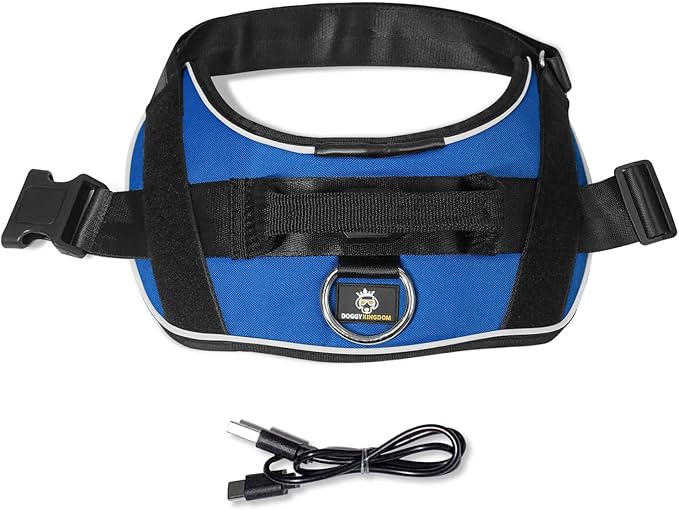 Personalized No Pull 360° LED Dog Harness with Custom Name Patches, USB Rechargeable, Adjustable, Reflective for Night Walks, Rainproof Module with 3 Modes Lasts up to 24h, Blue, 2XL