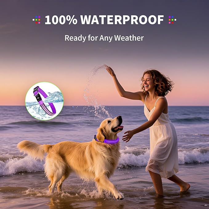 PetIsay Dog Light up Collar for Night Walking - High Visibility LED Dog Collar - Rechargeable - Waterproof - Reflective - Adjustable Lighted Glow Collars(Purple,Medium)