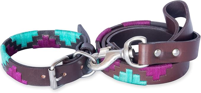 Gaucho Goods Leather Dog Collar (Miami-XS) for Small Dogs