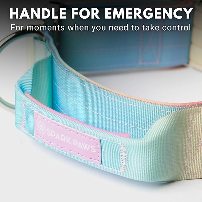 Spark Paws Tactical Dog Collar with Handle - Premium Quality Collar, Robust and Durable Design for Large, Strong Breeds - Pitbulls, Labradors, GSD - Pastel Icing - M