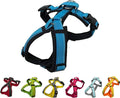 [白山:Hakusan] Zero Dog Harness Basic Type, Safe - No chocking/Hard to Disconnect, Great fit - Easy Put on and Off/Adjustable, Reflector, XL - Large Dog, Two-Tone Black×Turquoise