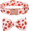Lionet Paws Dog Collar with Bowtie - Summer Cute Cotton Adjustable Bowtie Dog Cat Collar with Metal Buckle for Puppy Girl Boy, XS, Neck 8-12in