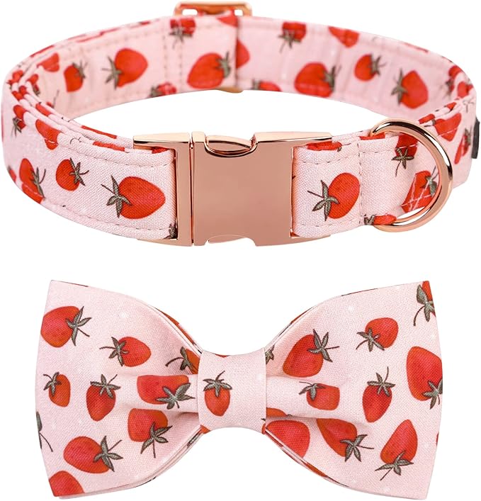 Lionet Paws Dog Collar with Bowtie - Summer Cute Cotton Adjustable Bowtie Dog Collar with Metal Buckle for Large Dog Girl Boy, XL, Neck 16-26in