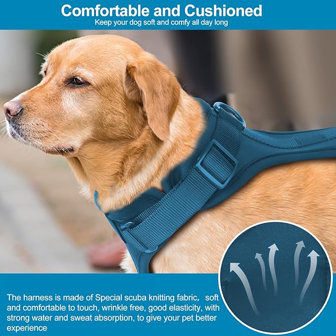 No Pull Lightweight Dog Harness: Adjustable Durable Breathable Mesh Pet Vest Harness with Soft & Comfortable Cushion, for Small Medium Large Dogs (Small, Navy)