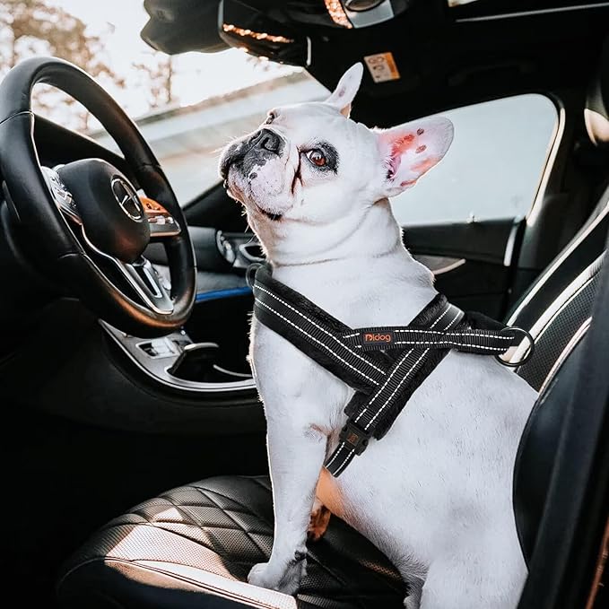 Didog Soft Flannel Padded Dog Vest Harness, No Pull/Quick Fit Reflective Dog Strap Harness, Easy for Training Walking (XS:Chest 15-18", Black)