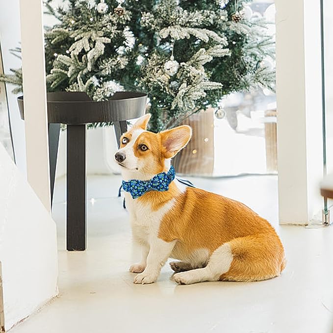 Elegant little tail Dog Collar- Cute Blueberry Dog Collar with Bow for Large Dogs, Male Adjustable Cotton Summer Pet Bow Holiday Puppy Collar for Small Medium Large Dogs