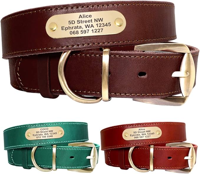 Didog Genuine Leather Dog Collars with Engraved Nameplate, Personalized Soft Leather Dog Collar with Custom ID Tag, Brown/Green/Red for Small Dogs (S,Red)