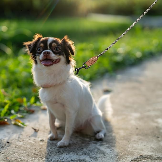 Mile High Life Small Dog Leash, Thin Rope Leash with Genuine Leather Connection and Heavy Duty Metal Clasp, Great for Small Medium Dogs(White,72 Inch-1/3)