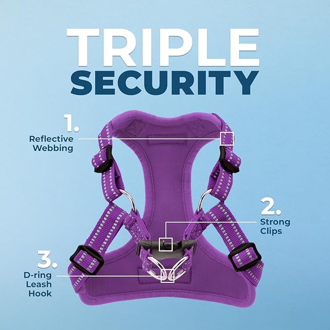 Best Pet Supplies Voyager Adjustable Step-in Flex Breathable Mesh Dog Harness for Small Medium Large Dogs (Purple), XL