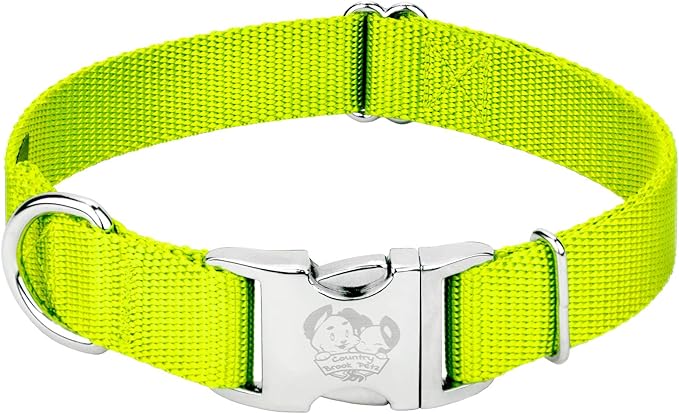 Country Brook Petz - Premium Nylon Dog Collar with Metal Buckle for Small Medium Large Breeds - 10+ Warm Colors (Medium, 3/4 Inch, Hot Yellow)