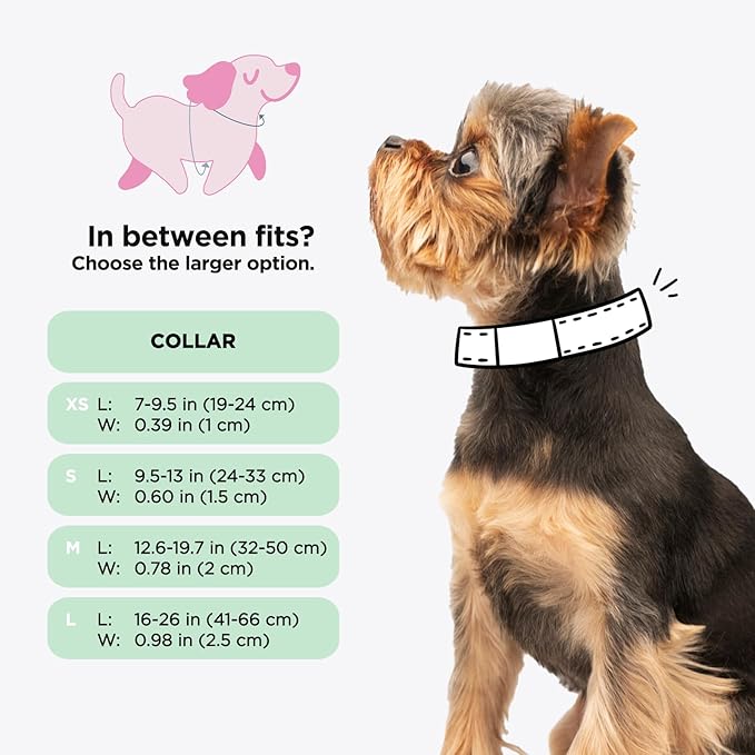 Sassy Woof Dog Collar Scooby-Doo™ - M, Adjustable, Durable, Comfortable and Stylish Pet Accessories for Medium Dogs - Officially Licensed